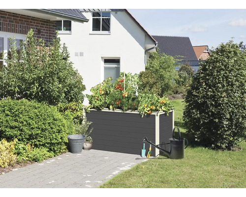 Hochbeet mit Tomatenpflanzen, Gießkanne und Gartengeräten im Garten