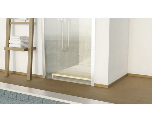 Badezimmer mit Dusche, Handtuchleiter und Holzboden