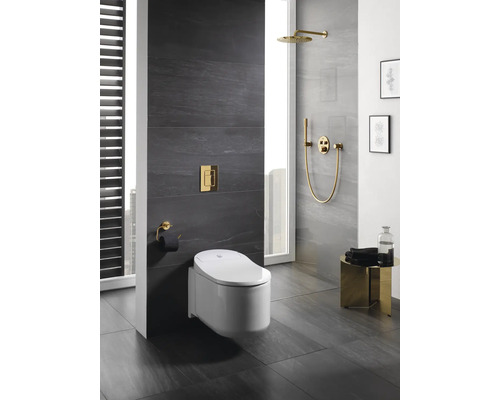 Modernes Badezimmer mit Duscharmatur, Toilette, WC-Papierhalter und Beistelltisch.