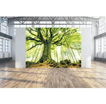 Wandtuch grüner Baum 350x250 cm
