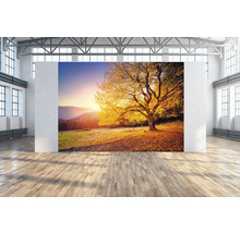 Wandbild mit Herbstlandschaft in hellem Raum.