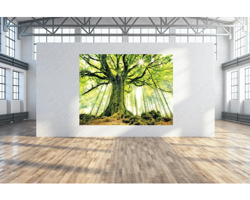 Wandtuch grüner Baum 250x190 cm