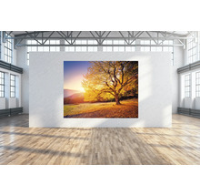 Wandtuch goldener Baum 250x190 cm