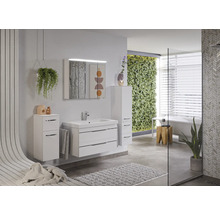 Modernes Badezimmer mit Waschtisch, Spiegelschrank, Hängeschrank und Pflanzenwand.