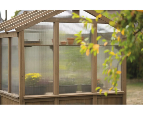 Gewächshaus mit Pflanzen und Töpfen auf Regalen