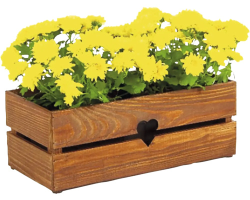 Blumenkasten aus Holz mit gelben Chrysanthemen und Herzdesign