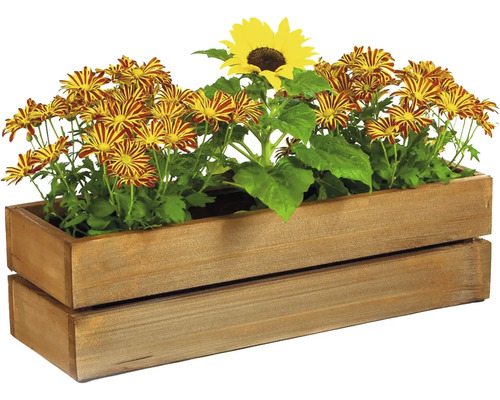 Holz-Blumenkasten mit gelb-roten Chrysanthemen und Sonnenblume