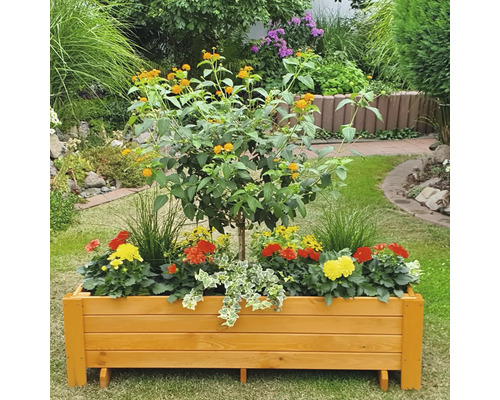 Promadino Pflanzkasten Romantica 80 Cm – Aus Kiefernholz, Honigbraun, Für Garten & Terrasse, Einfach Aufzubauen