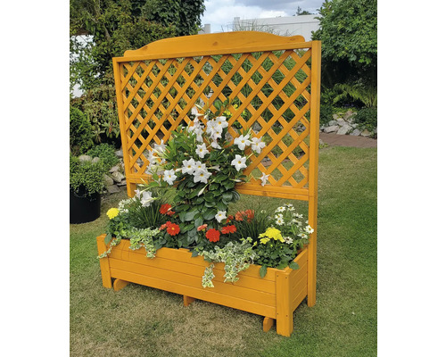 Holz Pflanzkasten mit Rankgitter im Garten
