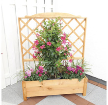 Blumenkasten aus Holz mit Rankgitter und blühenden Pflanzen