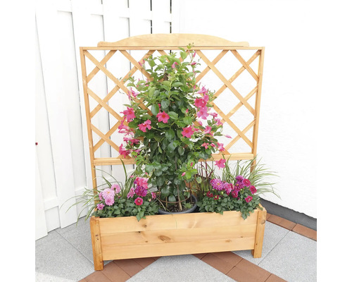 Blumenkasten aus Holz mit Rankgitter und blühenden Pflanzen