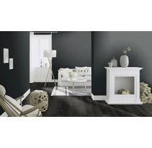 Wohnzimmer mit dunklem Laminatboden, Sofa, Lampe und Dekoration