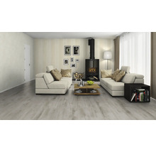 Wohnzimmer mit zwei Sofas, Kaminofen und Holzboden