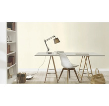 Büroraum mit Schreibtisch, Lampe, Stuhl und Bücherregal