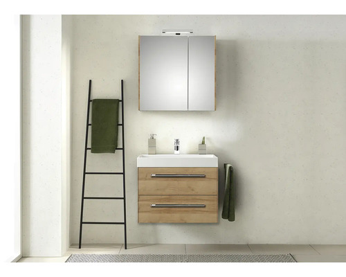 Badezimmer mit Waschtisch, Spiegelschrank und Handtuchleiter