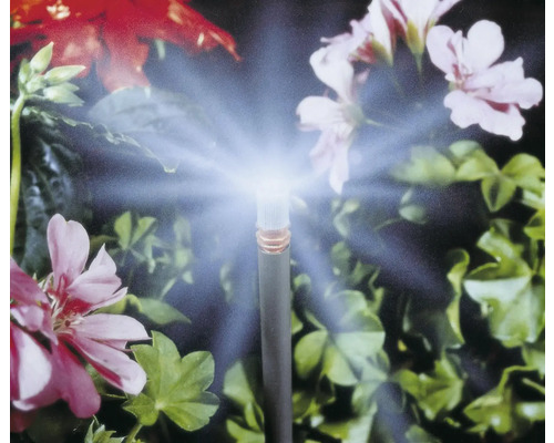 Gartenbewässerung mit Sprinkler vor Blumen