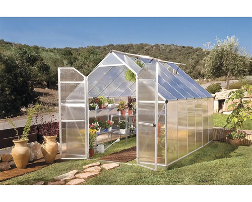 Gewächshaus mit geöffneten Türen und Pflanzenregalen im Garten.