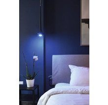 Schlafzimmer mit Bett, Nachttisch, Orchidee und Hängelampe