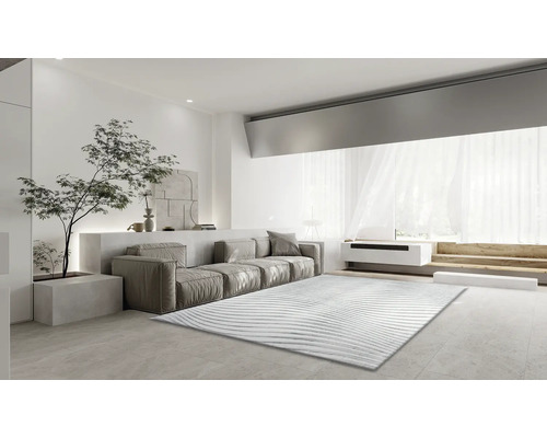 Wohnzimmer mit Sofa, Teppich und Zimmerpflanze