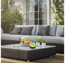Terrassenszene mit Sofa, Couchtisch, Obstschale, Topfpflanzen und einer Tischleuchte mit Farbwechsel.