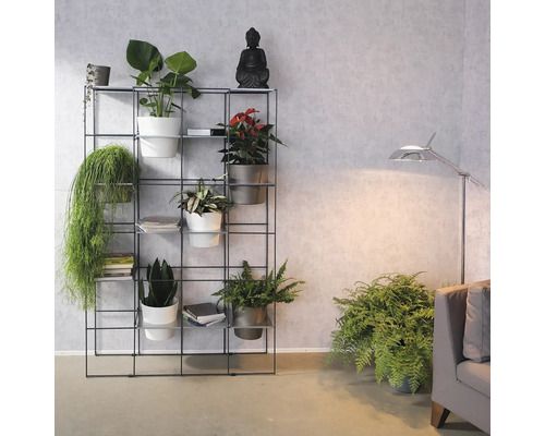 Raumansicht mit Metallregal, Pflanzen in Töpfen und Buddha-Statue
