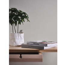 Dekoratives Interieur mit Pflanze im Topf, Büchern und einer Holzkommode.