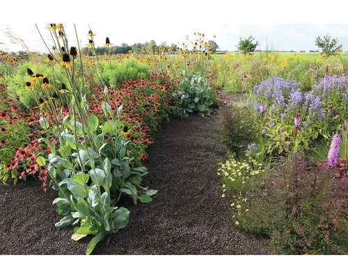 Blumenbeet mit verschiedenen Pflanzen und einem dunklen Weg