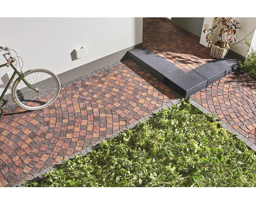 Gepflasterter Außenbereich mit Fahrrad, Treppe und Bepflanzung