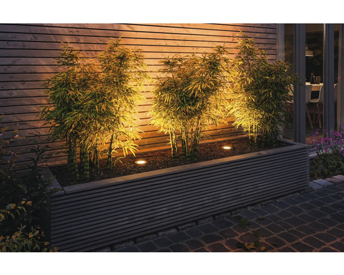 Beleuchteter Bambus in einem Pflanzkasten vor einer Holzwand