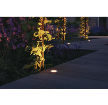 Gartenszene mit Holzterrasse, Pflanzen und eingelassenen Bodenleuchten