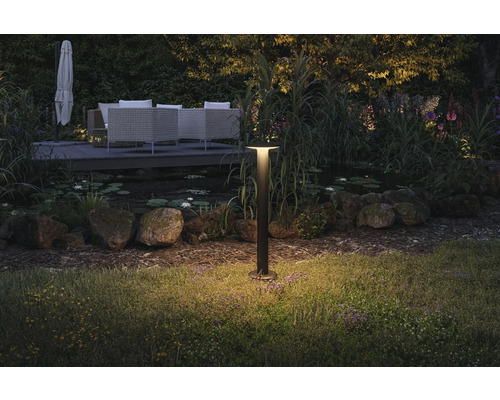 Gartenleuchte beleuchtet Rasenfläche in der Dämmerung.