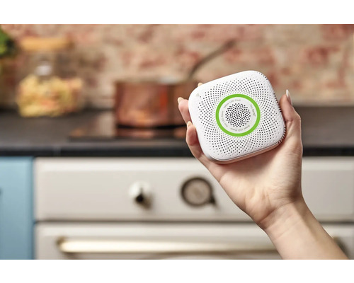 Hand hält Rauchmelder vor Küchenhintergrund