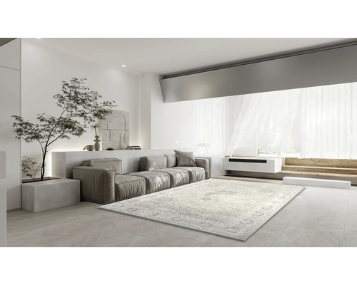 Helles Wohnzimmer mit gemustertem Teppich, Sofa und Zimmerpflanze