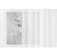 Gemälde mit Pferdemotiv und Gardine