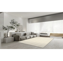 Heller Wohnraum mit Couch, Baum und Teppich
