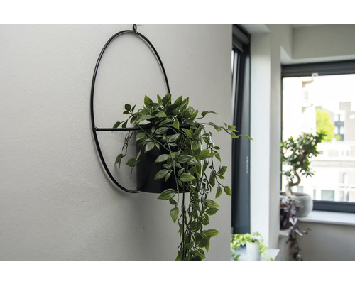 Wandpflanzgefäß mit künstlicher Grünpflanze an der Wand