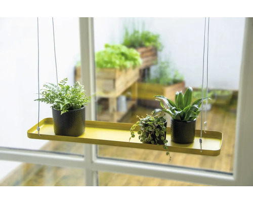 Hängepflanzregal mit drei Pflanzen in Töpfen