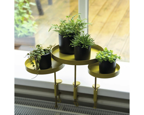 Pflanzentreppe mit vier Pflanzen in Töpfen auf einer Fensterbank