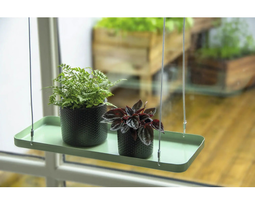 Hängeregal mit zwei Zimmerpflanzen in Töpfen