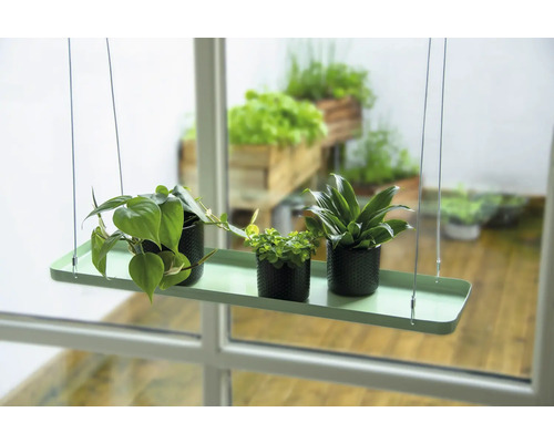 Hängepflanzregal mit drei Pflanzen in Töpfen vor einem Fenster
