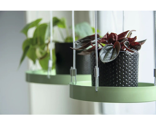 Hängepflanzen mit dekorativen Töpfen und Pflanzen