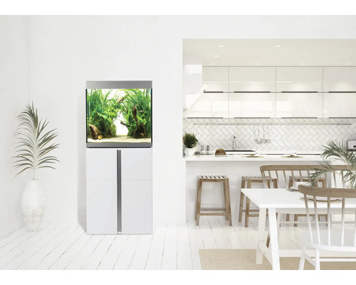 Eingerichtetes Aquarium auf Unterschrank in einem hellen Wohnraum.