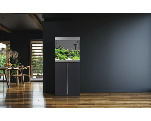 Aquarium mit Unterschrank in einem hellen Wohnraum.
