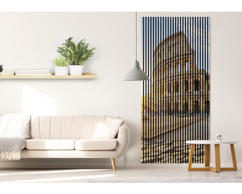 Wohnzimmer mit Sofa, Regal und Akustikbild mit Kolosseum Motiv