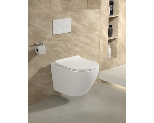 Modernes Badezimmer mit wandhängendem WC, Betätigungsplatte und Toilettenpapierhalter.