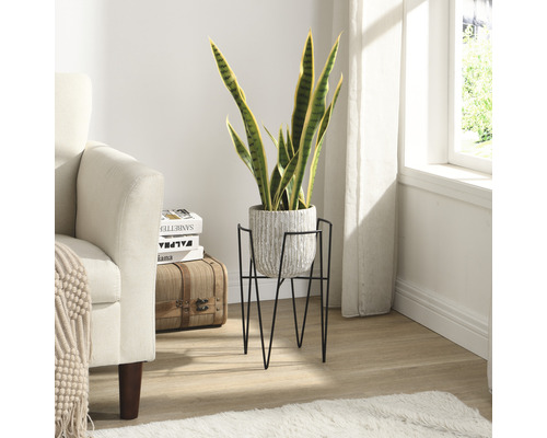 Zimmer mit Sessel, Pflanze im Topf auf einem Pflanzenständer und dekorativen Gegenständen.