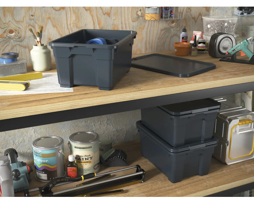 Aufnahme von zwei Regalebenen mit Lagerboxen und Werkzeugen