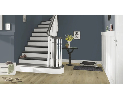 Eingangsbereich mit Treppe, Tisch und Hundeaccessoires