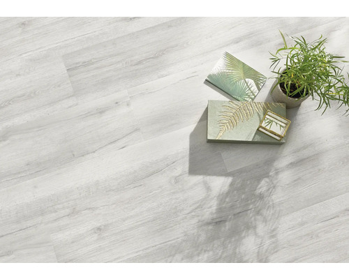 Heller Vinylboden mit Holzoptik, kombiniert mit einer Zimmerpflanze und Dekorationsartikeln