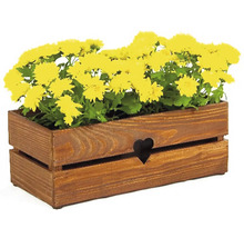 Holzblumenkasten mit Herz und gelben Chrysanthemen